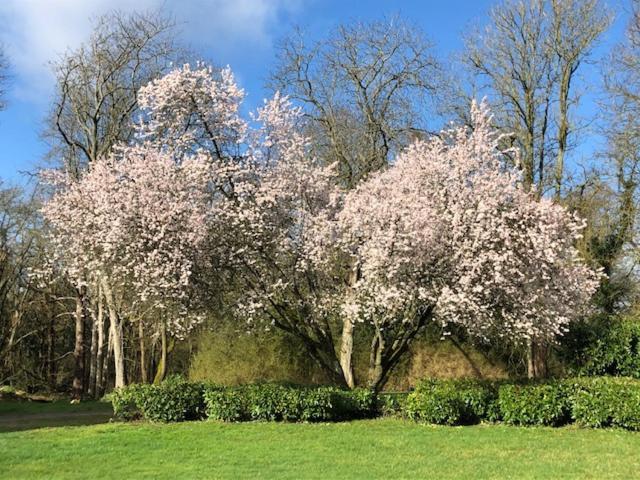 Domaine De Macque, Betz, 25 Mns Roissy Cdg Hotel Bagian luar foto
